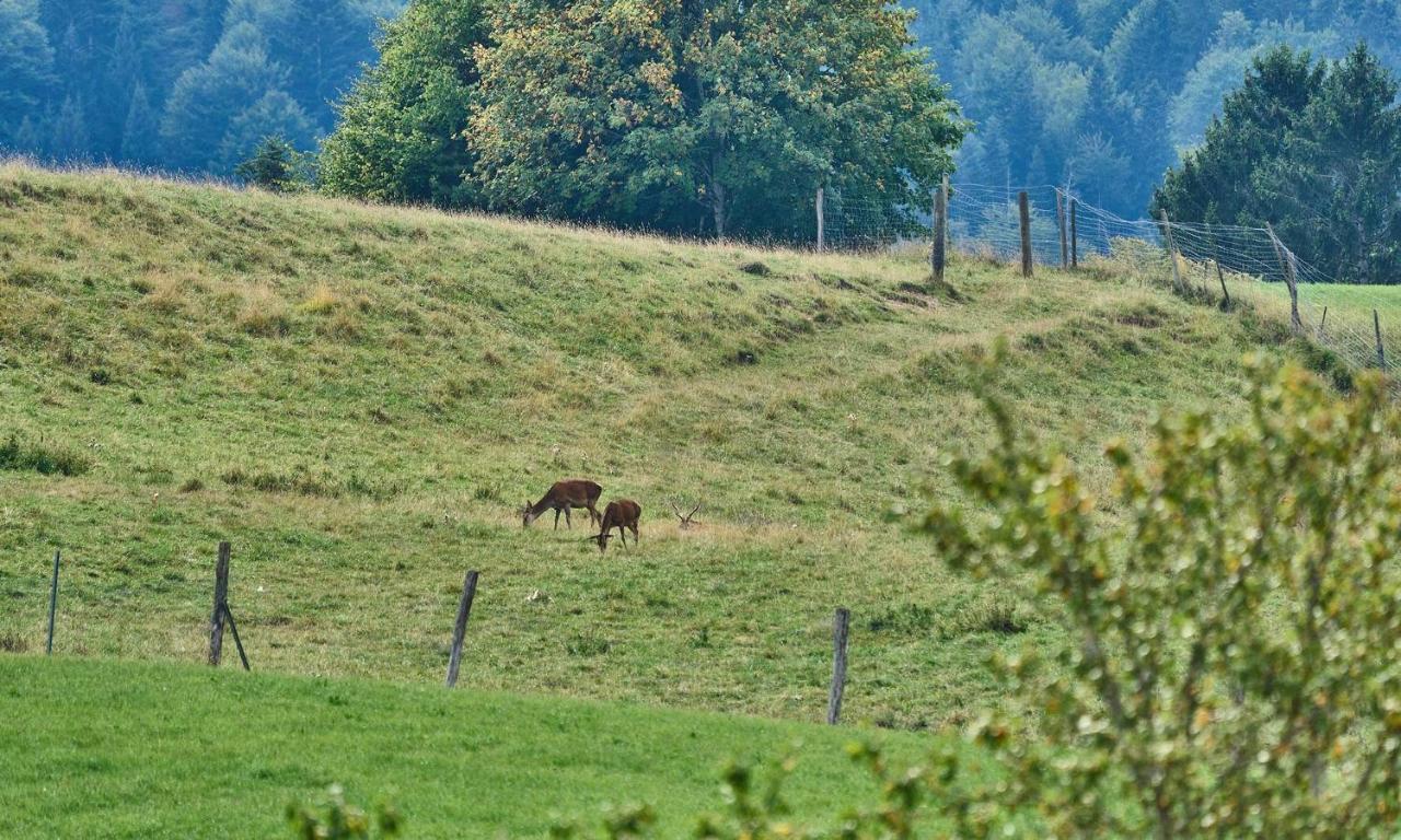 Hof Hauserbichl Fischbachau Luaran gambar